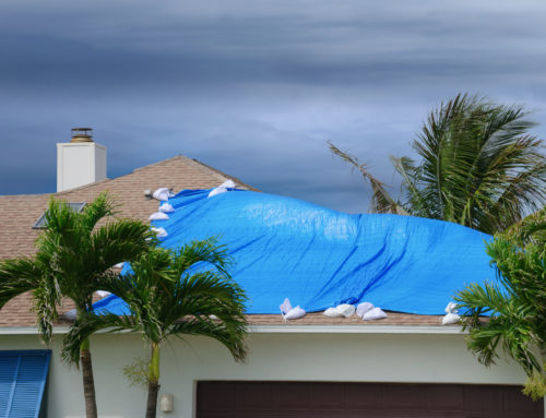 Common Roof Problems in SWFL